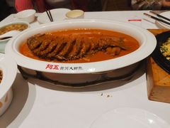 -阿五黄河大鲤鱼(海尚店)