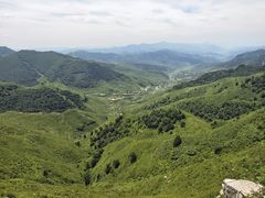 -空中草原