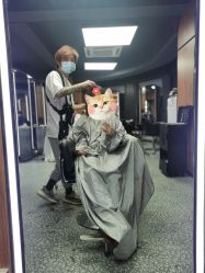 点击看大图 -HD HAIR STYLE