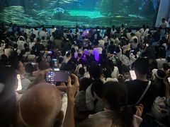-海合安成都极地海洋公园