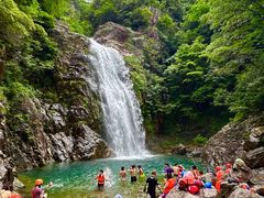 -四明山国家森林公园