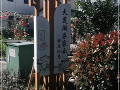 -大莲湖农家乐(青西郊野公园店)