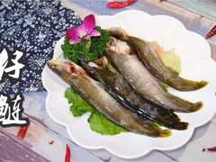 -香坝坝鲜鱼火锅(春熙路店)