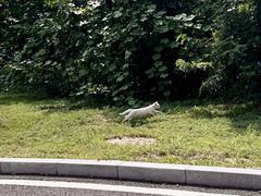 -棒棰岛宾馆景区