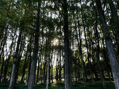 -良渚古城遗址公园