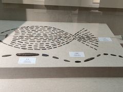 -巴音郭楞蒙古自治州博物馆