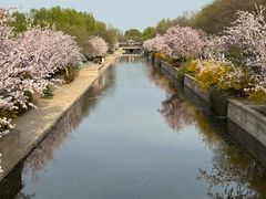 -海棠花溪(元大都城垣遗址公园)