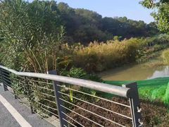 -飞凤山奥体公园
