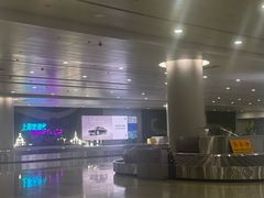 -上海浦东国际机场-T2航站楼