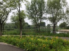 -东郊湿地公园