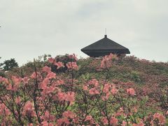 -大围山国家森林公园