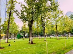 -重庆市江北嘴中央商务区中央公园