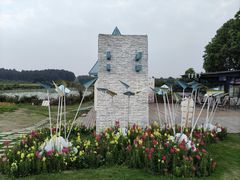 -空港花田景区