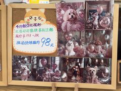 -读宠于你·约克夏比熊·睫角守宫·爬宠售卖(高新店)