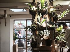 -本無咖啡·BeanWood Coffee