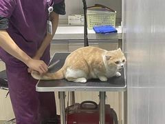 -宠颐生动物医院·小陆分院