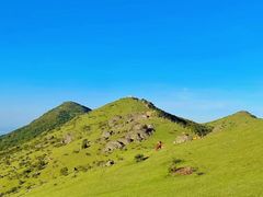 -大姆山草场