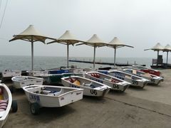 -上海美帆帆船露营基地