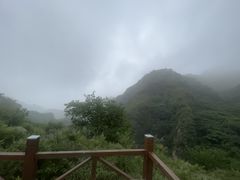 -大岭沟猕猴桃谷风景区