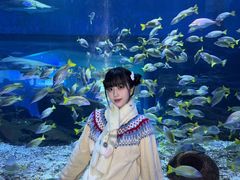 -海合安武汉极地海洋公园
