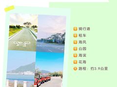 -芒洲湿地公园