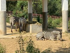 -石家庄市动物园