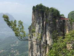 -蝶舞清江·恩施云顶景区(黄鹤峰林)