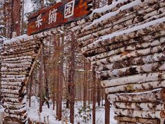 -峡谷浮石林景区