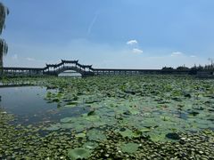 -观桥阁(锦溪店)