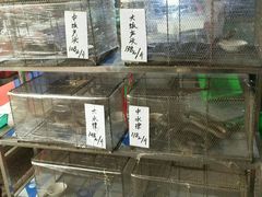 水产区-祈胜邨•顺德鱼生•顺德菜(容桂店)