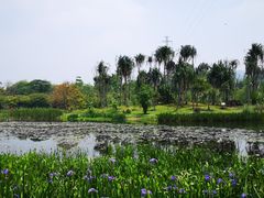 -华南国家植物园-售票处