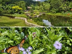 -云溪植物园