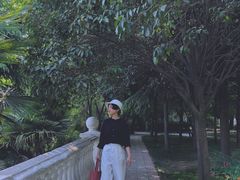 -洛阳郁金香牡丹园