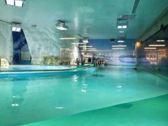 -北戴河圣蓝海洋公园