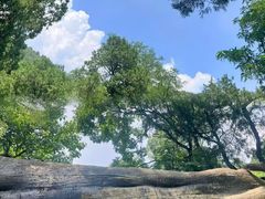 -泰山风景名胜区