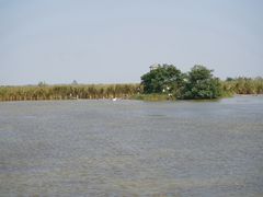 -盐城丹顶鹤湿地生态旅游区