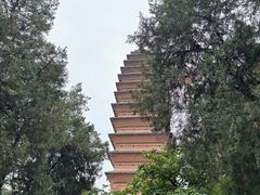 -洛阳白马寺
