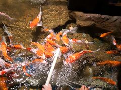 -太平洋海底世界