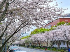 -永乐路-路侧停车场