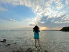 -宝安西湾红树林湿地公园