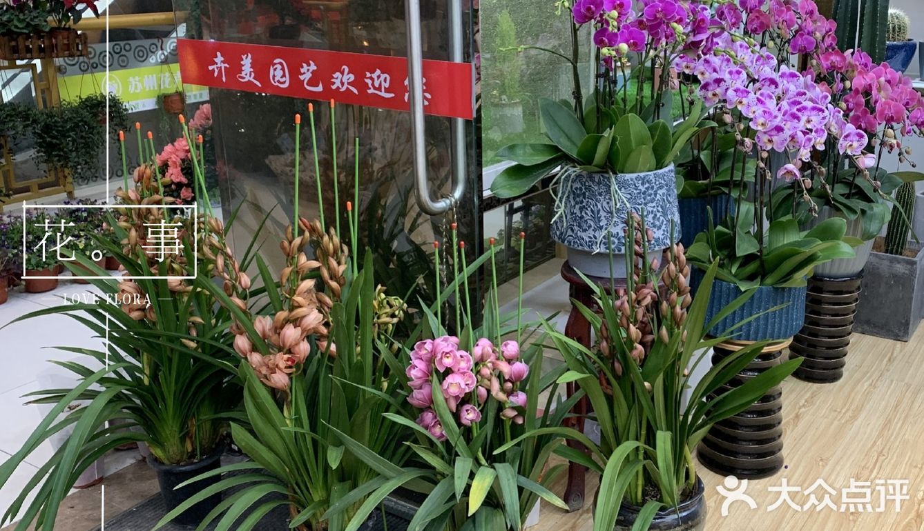 路过一家花店