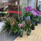 路过一家花店