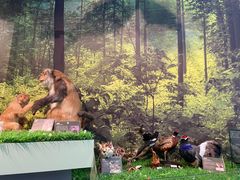 -房山世界地质公园博物馆