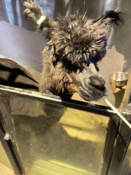 -酷嗒动物文化乐园(cutezoo西溪乐天城店)