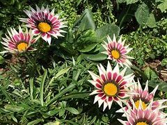 -云漫湖生态度假公园