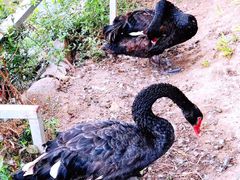 -春晖园度假酒店温泉