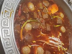-杨肥肠火锅大排档(火车站花园店)