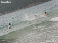 -西涌国际滨海旅游区