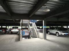 -上海植物园·停车场