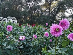 -黑龙江省森林植物园